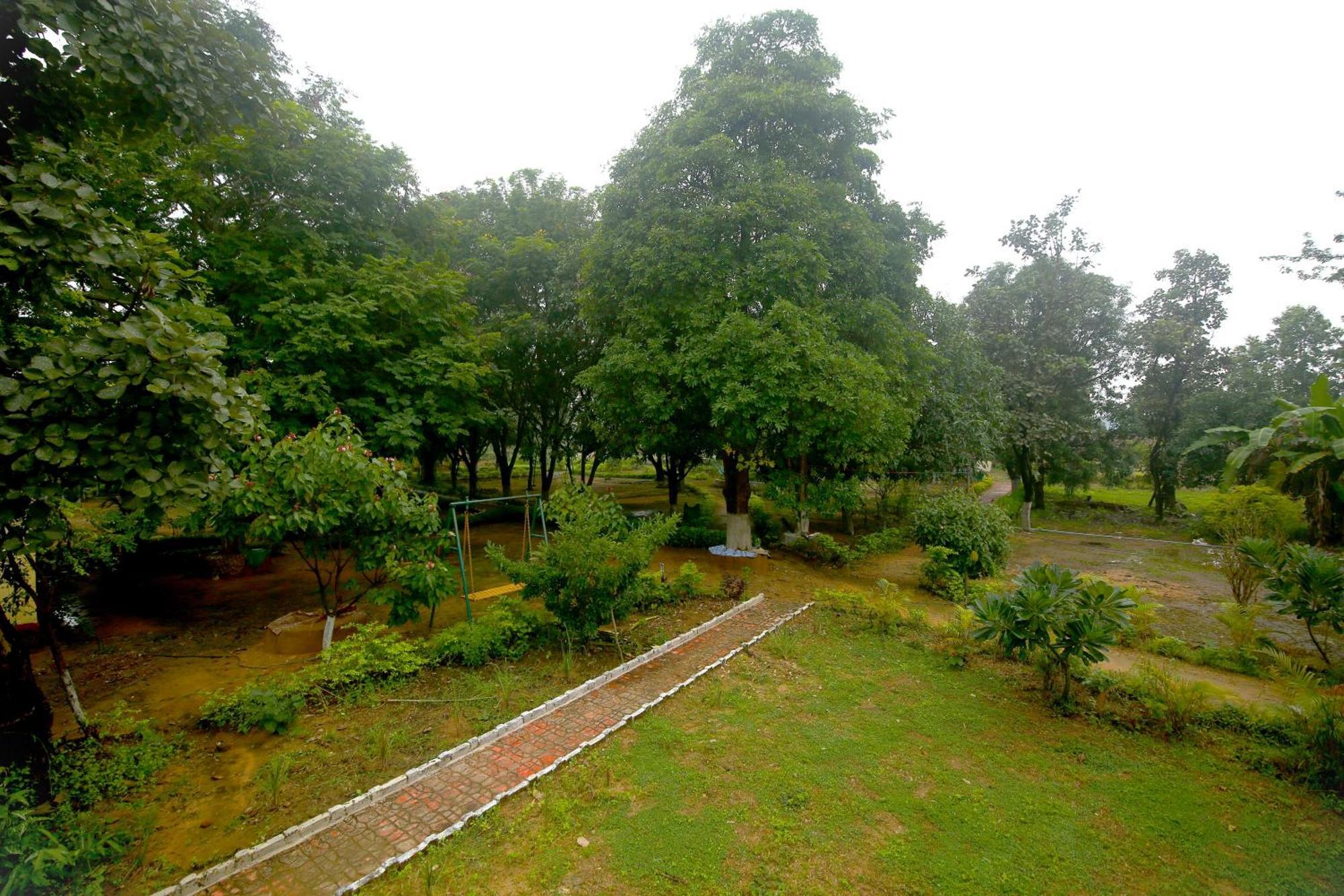 Tribal Wood Resort Dhanwār Exteriér fotografie